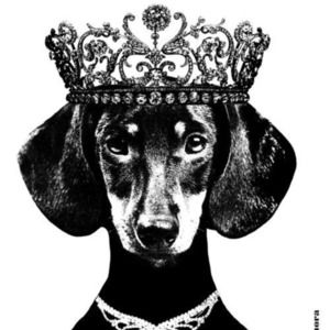 Meet your Posher, Val